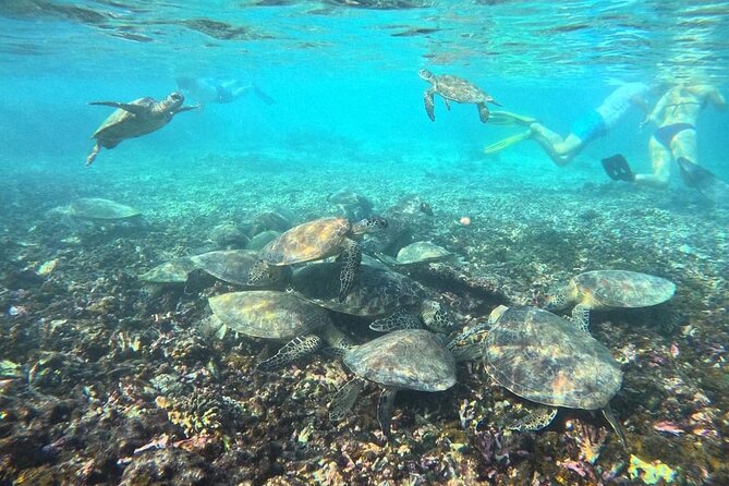 Snorkeling Experience at Ad Daymaniyat Islands in Muscat - Customer Reviews