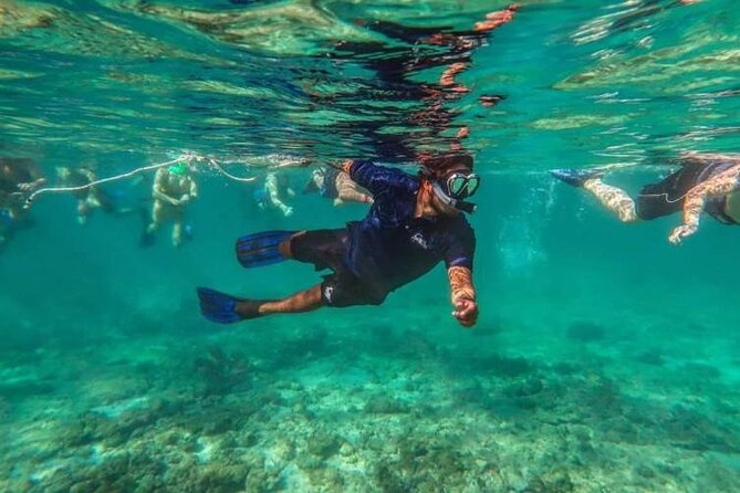Snorkeling Experience in Cancun - Hands Underwater Museum - Snorkeling the Reef and Seagrass