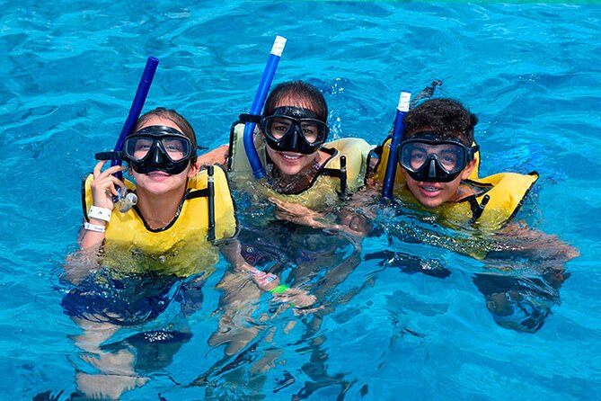 Snorkeling Experience in Cancun - Hands Underwater Museum - Pickup and Transportation Details