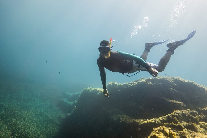 Snorkeling Experience in Genoa for Small Groups - Key Points