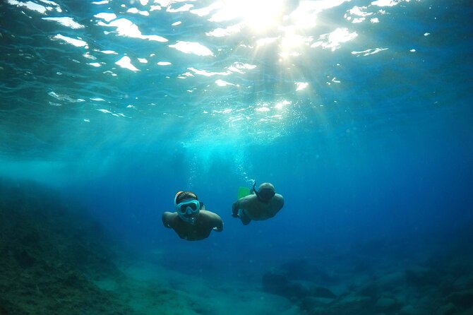 Snorkeling Experience in Genoa for Small Groups - Exploration of Ligurian Sea