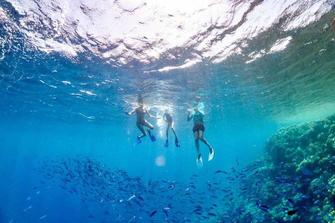 Snorkeling Experience in Genoa for Small Groups - Encountering Marine Life and Flora