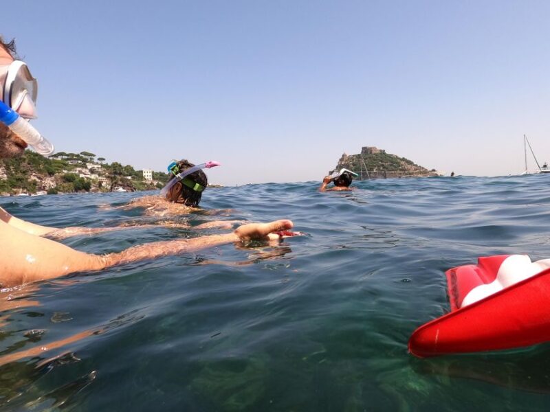 Snorkeling Experience in Ischia With Local Guide - Key Points