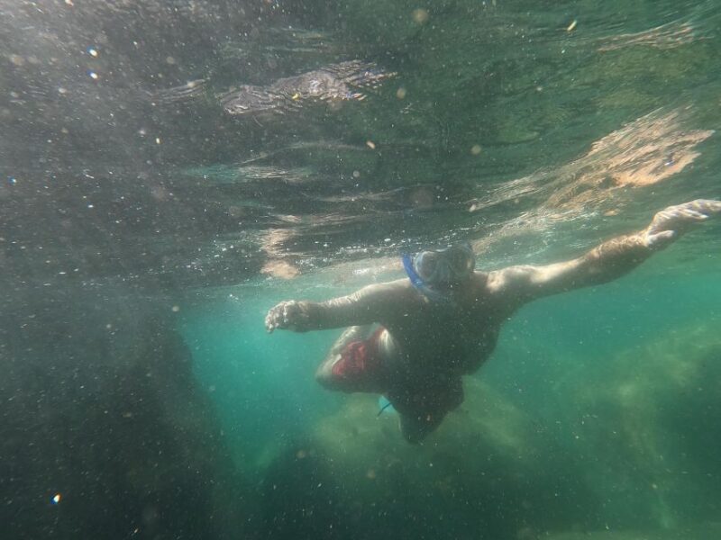 Snorkeling Experience in Ischia With Local Guide - Guide Expertise and Languages