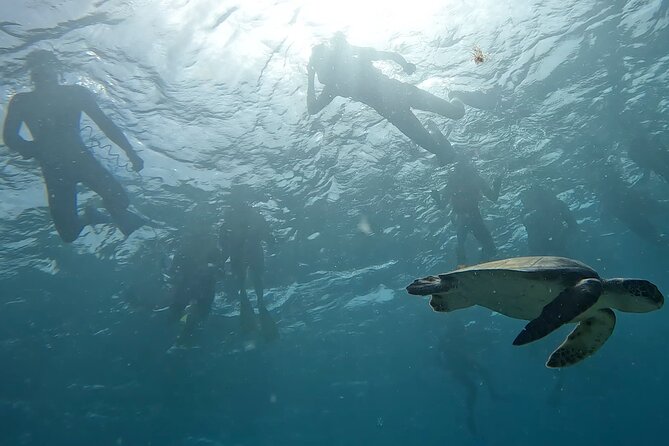 Snorkeling Experience in Santa Maria Bay by Boat - Highlights From Customer Reviews