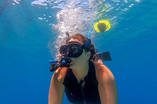 Snorkeling Experience on a NEMO Diving System - Preparation and Meeting Point