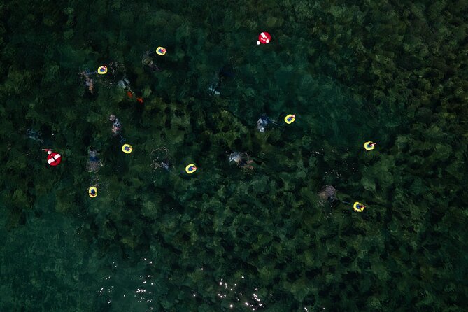 Snorkeling Experience on a NEMO Diving System - Booking and Cancellation Policy