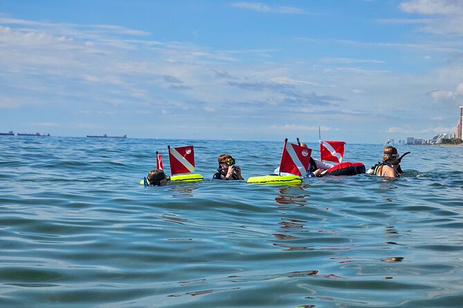 Snorkeling Experience on a NEMO Diving System - Accessibility and Pricing Details