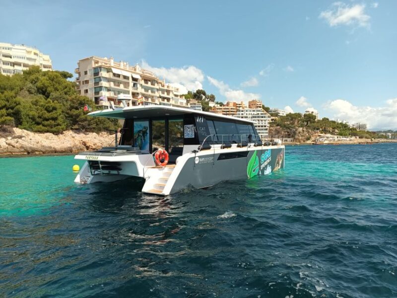 Snorkeling Experience Onboard of E-Catamaran at Palma Bay - Underwater Sea Scooters