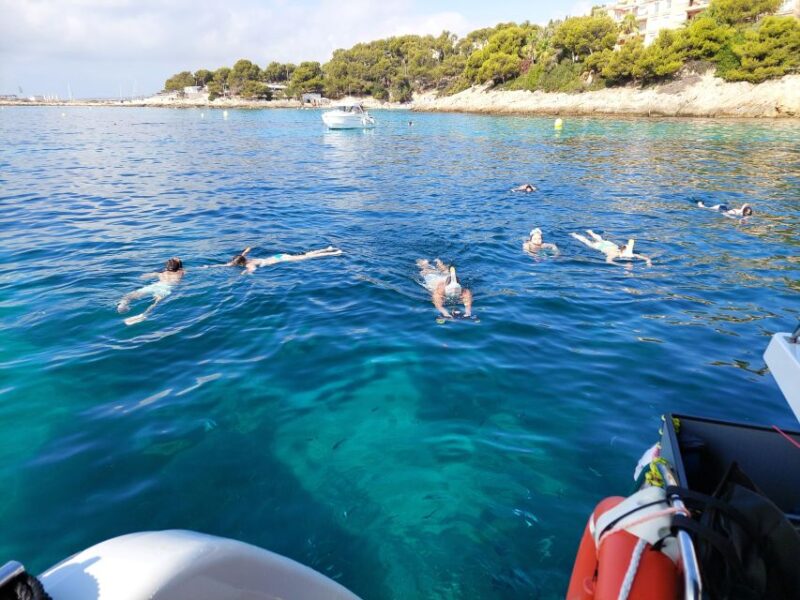 Snorkeling Experience Onboard of E-Catamaran at Palma Bay - Ecological Navigation Experience
