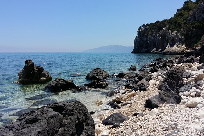 Snorkeling Experience to Discover the Dolphin Inside You! - Confirmation and Accessibility