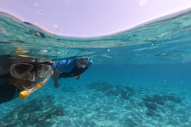 Snorkeling Experience to Discover the Dolphin Inside You! - Cancellation Policy