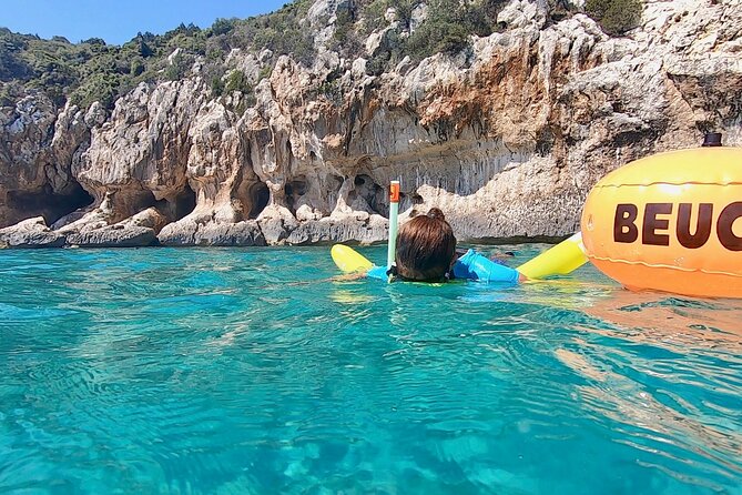 Snorkeling Experience to Discover the Dolphin Inside You! - Discover the Dolphin Within