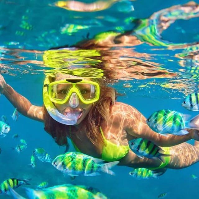 Snorkeling Express Puerto Morelos - Key Points