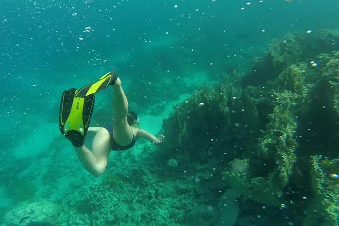 Snorkeling for a Clean Sea Experience - Key Points