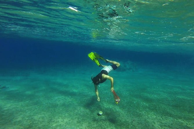 Snorkeling for a Clean Sea Experience - Inclusions and Gear
