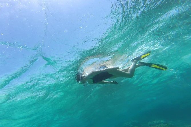 Snorkeling for a Clean Sea Experience - Tour Pricing