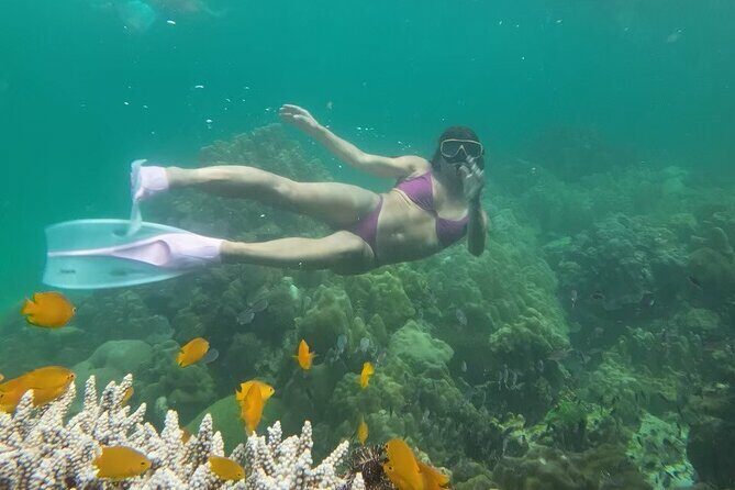 Snorkeling + Free Underwater Photos by Longtail Boat Koh Lipe A - An In-Depth Look at the Tour Experience