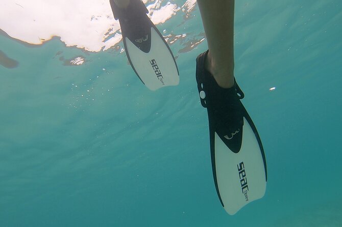 Snorkeling Gear Rental - Equipment and Delivery