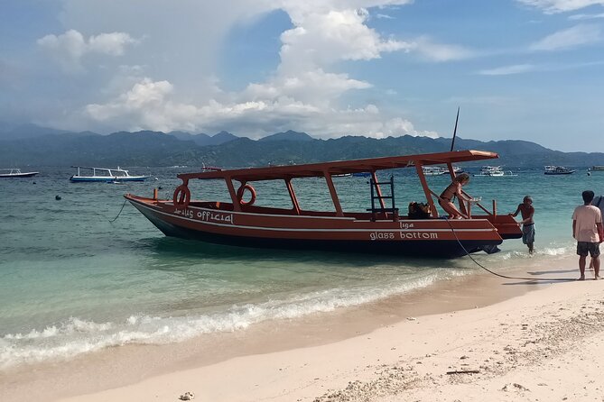 Snorkeling Gili Islands Coral, Turtles & Underwater Statues - Whats Included