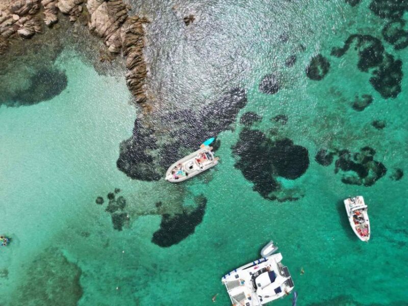 Snorkeling & Guided Boat Tours to La Maddalena Park - Key Points