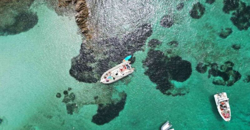 Snorkeling & Guided Boat Tours to La Maddalena Park - Booking and Pricing