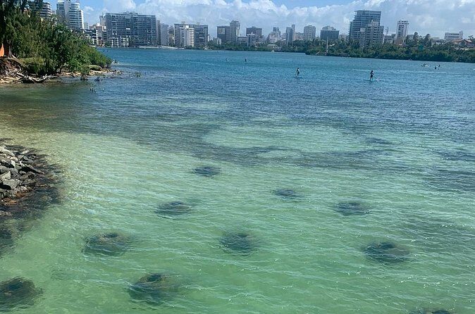 Snorkeling Guided Tour Experience in Condado Lagoon - Final Thoughts