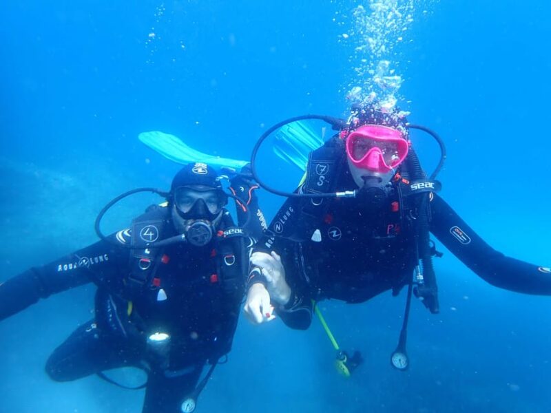 Snorkeling Guided Tours for Tha All Family! - Key Points