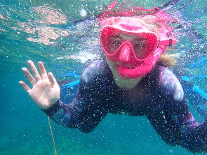 Snorkeling Guided Tours for Tha All Family! - Booking Information