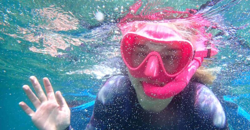 Snorkeling Guided Tours for Tha All Family! - What to Bring
