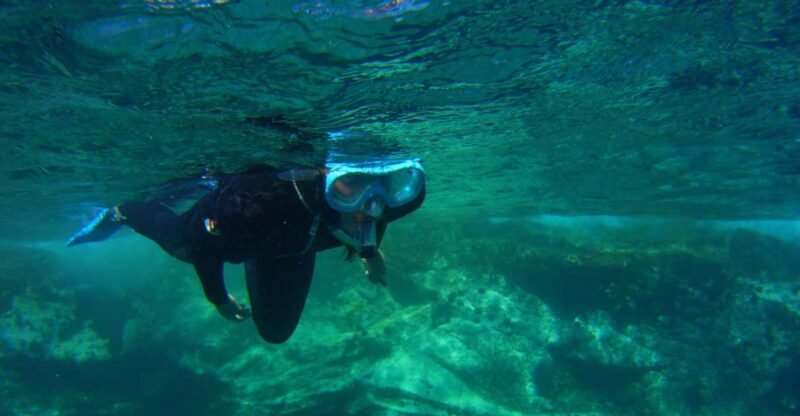 Snorkeling in a Volcanic Bay - Experience Highlights