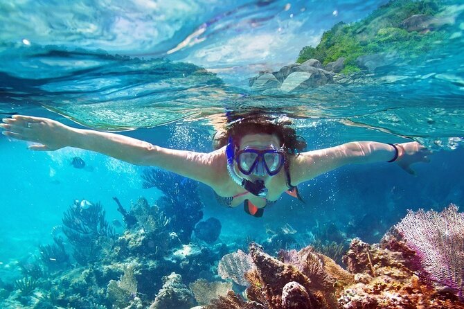 Snorkeling in Bar Reef Marine Sanctuary - Good To Know
