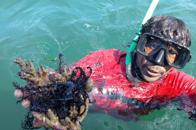 Snorkeling in Bar Reef Marine Sanctuary - Sum Up