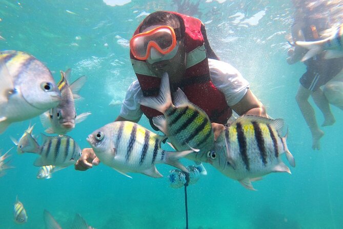 Snorkeling in Baru Island - Frequently Asked Questions
