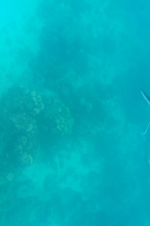 Snorkeling in Catalina Island: Day Trip by Boat - Prohibited Items