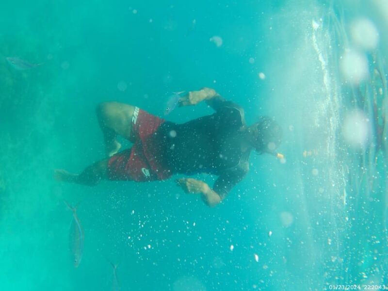 Snorkeling in Catalina Island: Day Trip by Boat - Booking and Cancellation