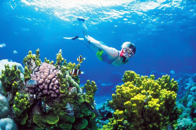 Snorkeling in Coral Island, Trincomalee - Activity Inclusions