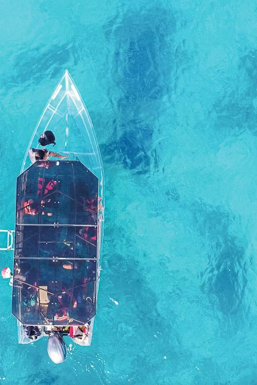 Snorkeling in Cozumel Waters in a Transparent Boat + Beers - Vibrant Marine Life Snorkeling