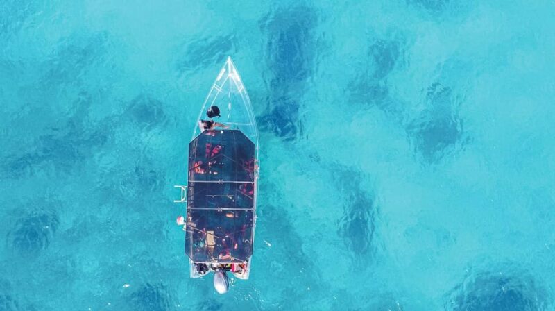 Snorkeling in Cozumel Waters in a Transparent Boat + Beers - Visit Historic Sites