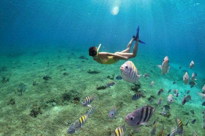 Snorkeling in Cozumel Waters in a Transparent Boat + Beers - Frequently Asked Questions