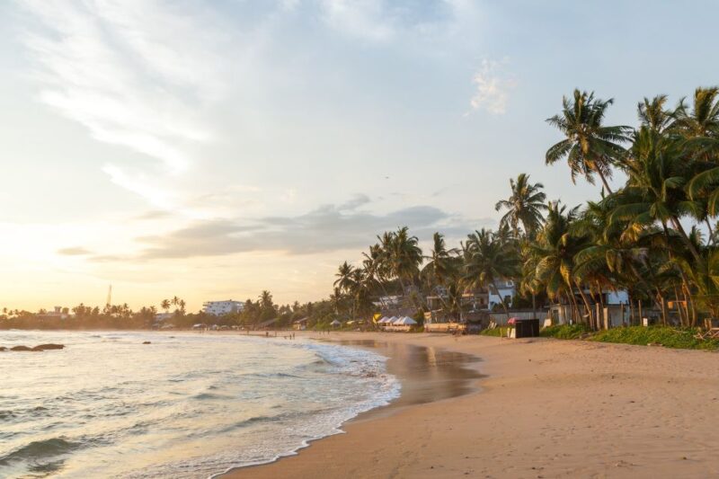 Snorkeling in Hikkaduwa - Key Points