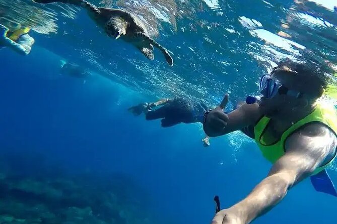 Snorkeling in Isla Del Caño (Caño Island) From Drake Bay - Key Points