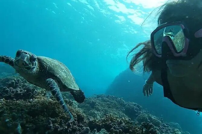 Snorkeling in Isla Del Caño (Caño Island) From Drake Bay - Pricing and Inclusions