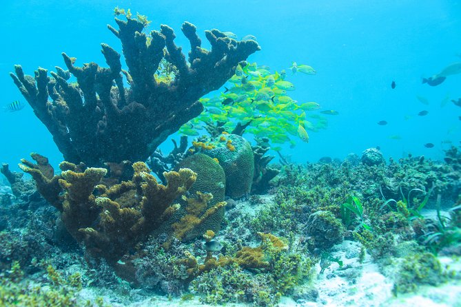Snorkeling in Isla Mujeres, Luxury Sailing - Included Amenities