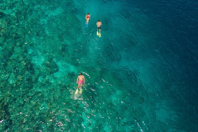 Snorkeling in Menjangan Island With Pickup and Lunch - Meeting and Pickup Details