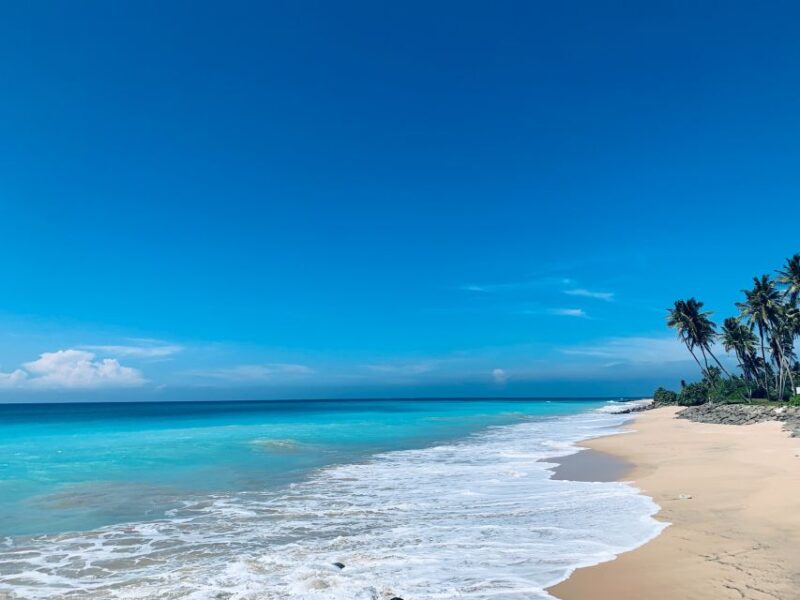 Snorkeling in Negombo - Inclusions
