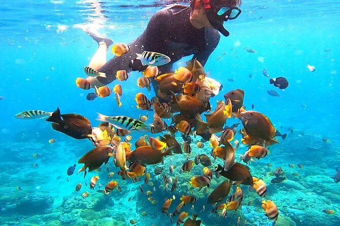 Snorkeling In Nusa Penida And Uluwatu Sunset Tours - Customer Feedback