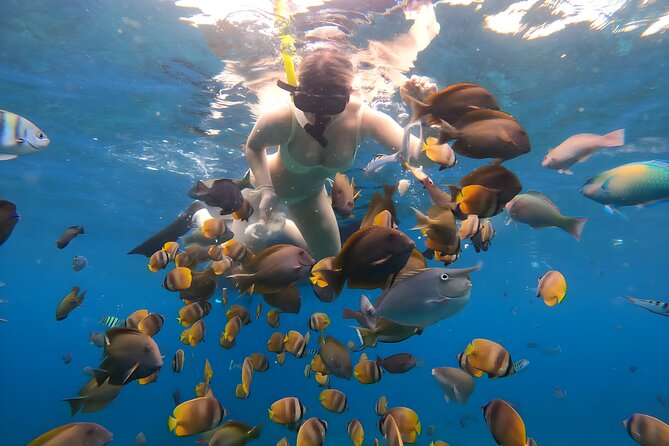 Snorkeling In Nusa Penida Departing From Bali Island - Private Transport and Speedboat