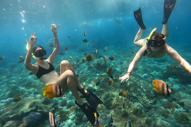 Snorkeling In Nusa Penida Departing From Bali Island - Pickup and Drop-off Details