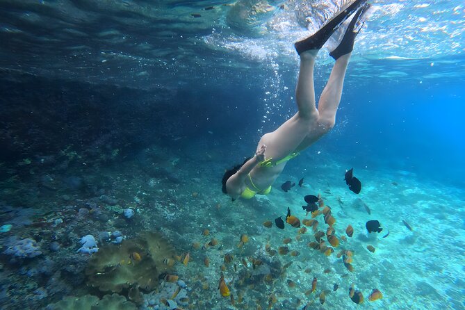 Snorkeling In Nusa Penida Departing From Bali Island - Additional Important Information